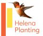 Helena Planting